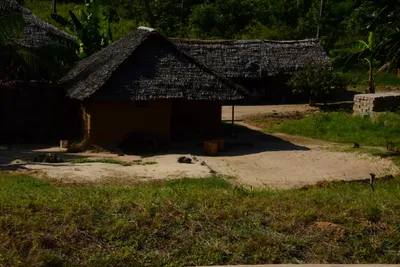 DSC_8308 (Large).JPG